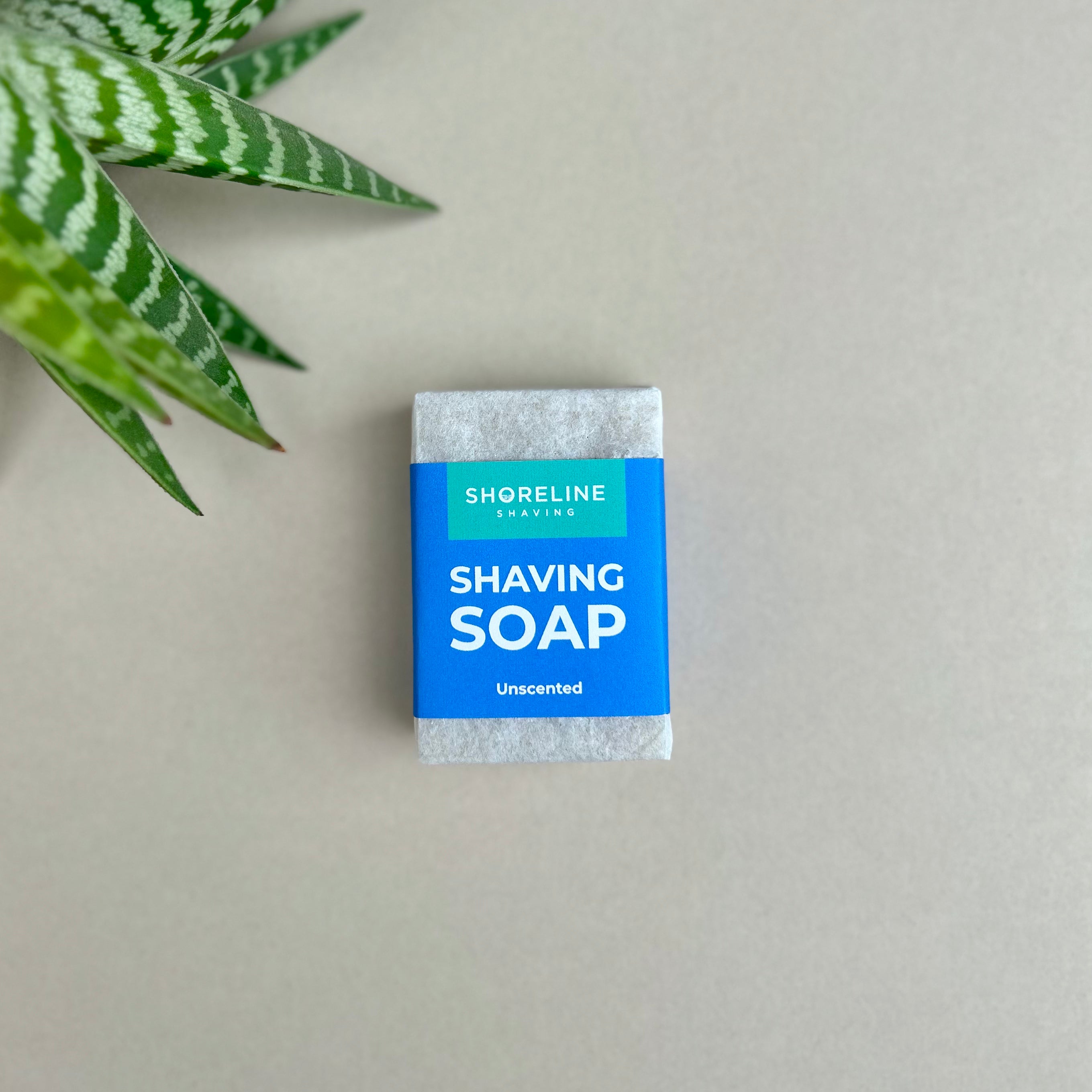 Natural shaving soap on a nude background with a plant in the corner - Shoreline Shaving